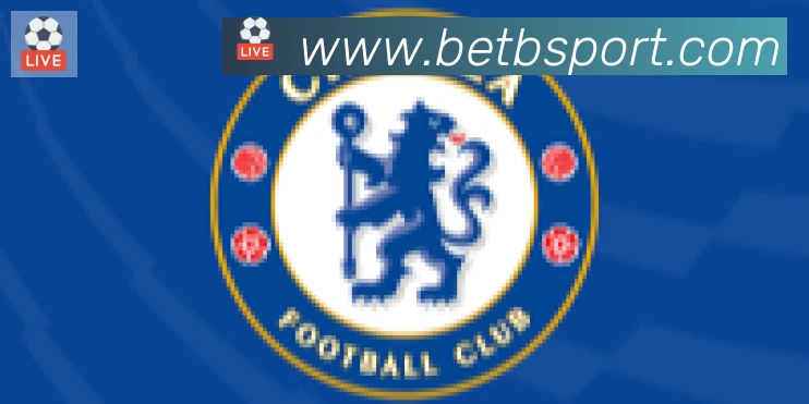 Bsports官网合作伙伴