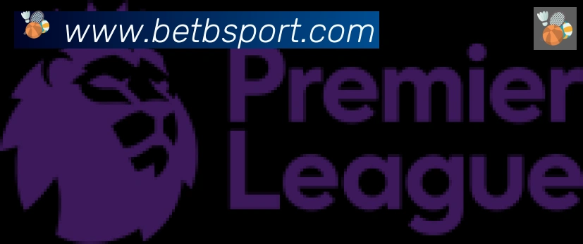 Bsports官网合作伙伴